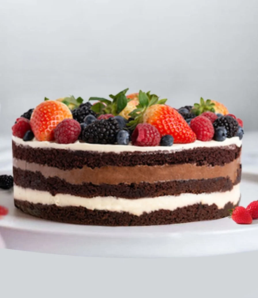 Double Choco and Berry Cake 