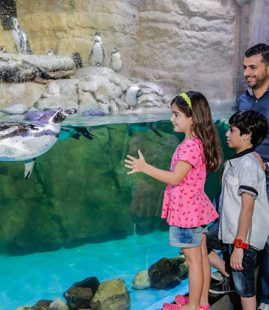 Dubai Aquarium and Underwater Zoo by Dreamdays
