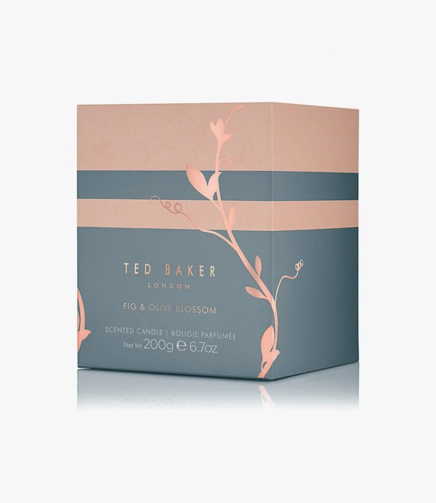 Fig & Olive Blossom Scented Candle by Ted Baker
