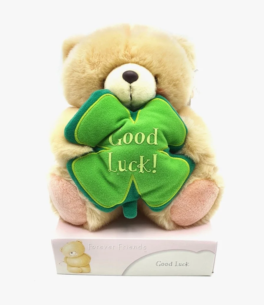 Good Luck Teddy  Bear - Large  