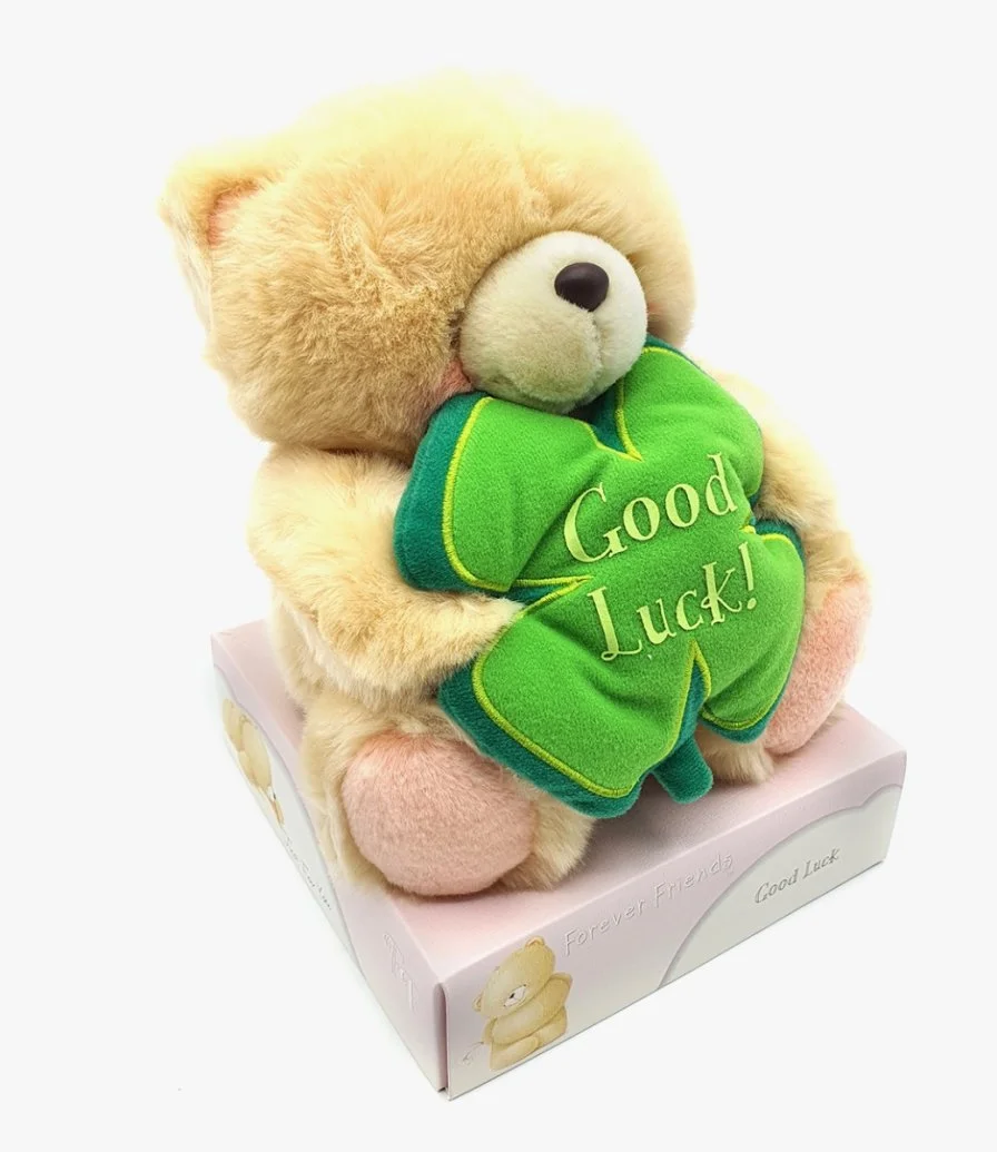 Good Luck Teddy Bear - Small 