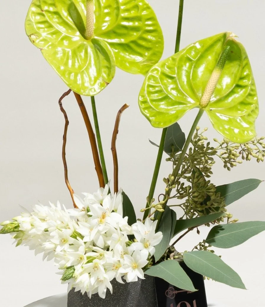 Green Anthurium Beauty Flower Arrangement