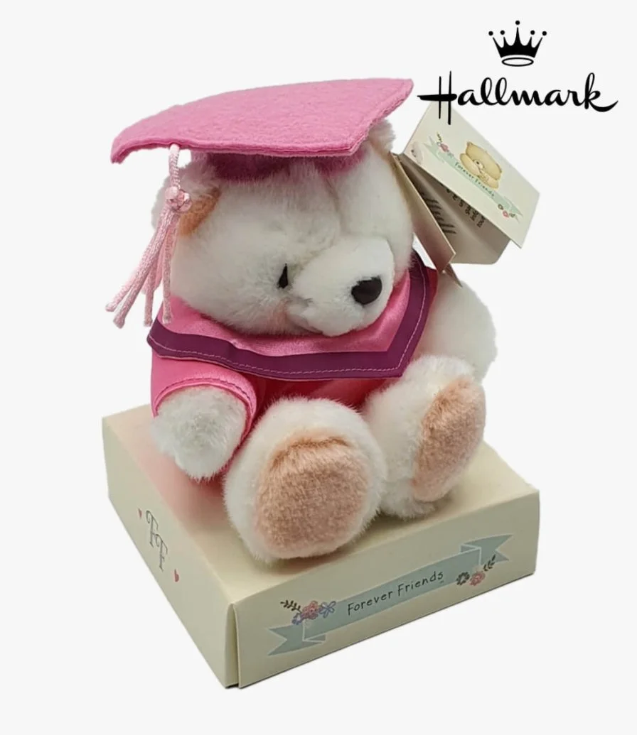 Hallmark Pink Graduation Bear