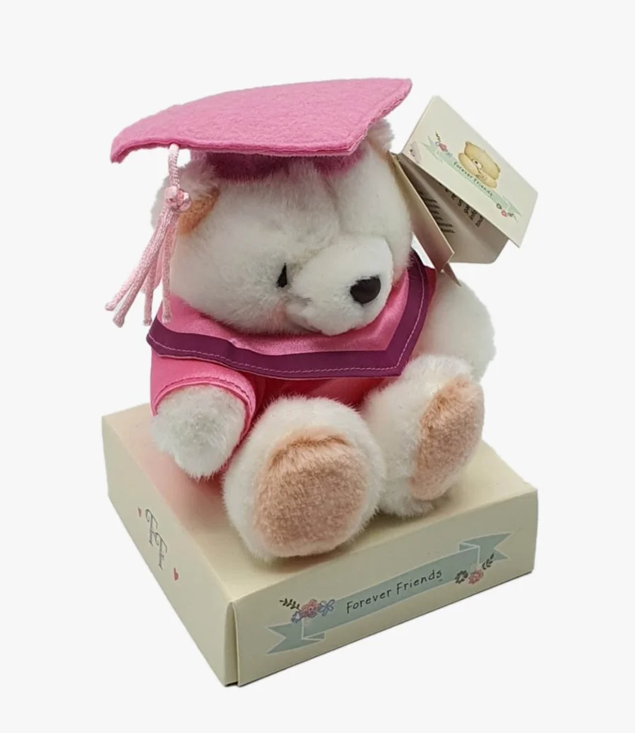 Hallmark Pink Graduation Bear