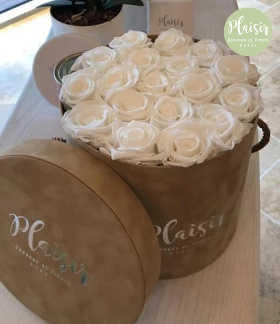 Infinity White Roses Round Box By Plaisir