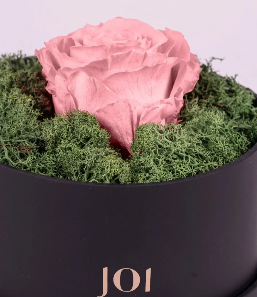 joi Luxury Long Life Rose Box - Pink 