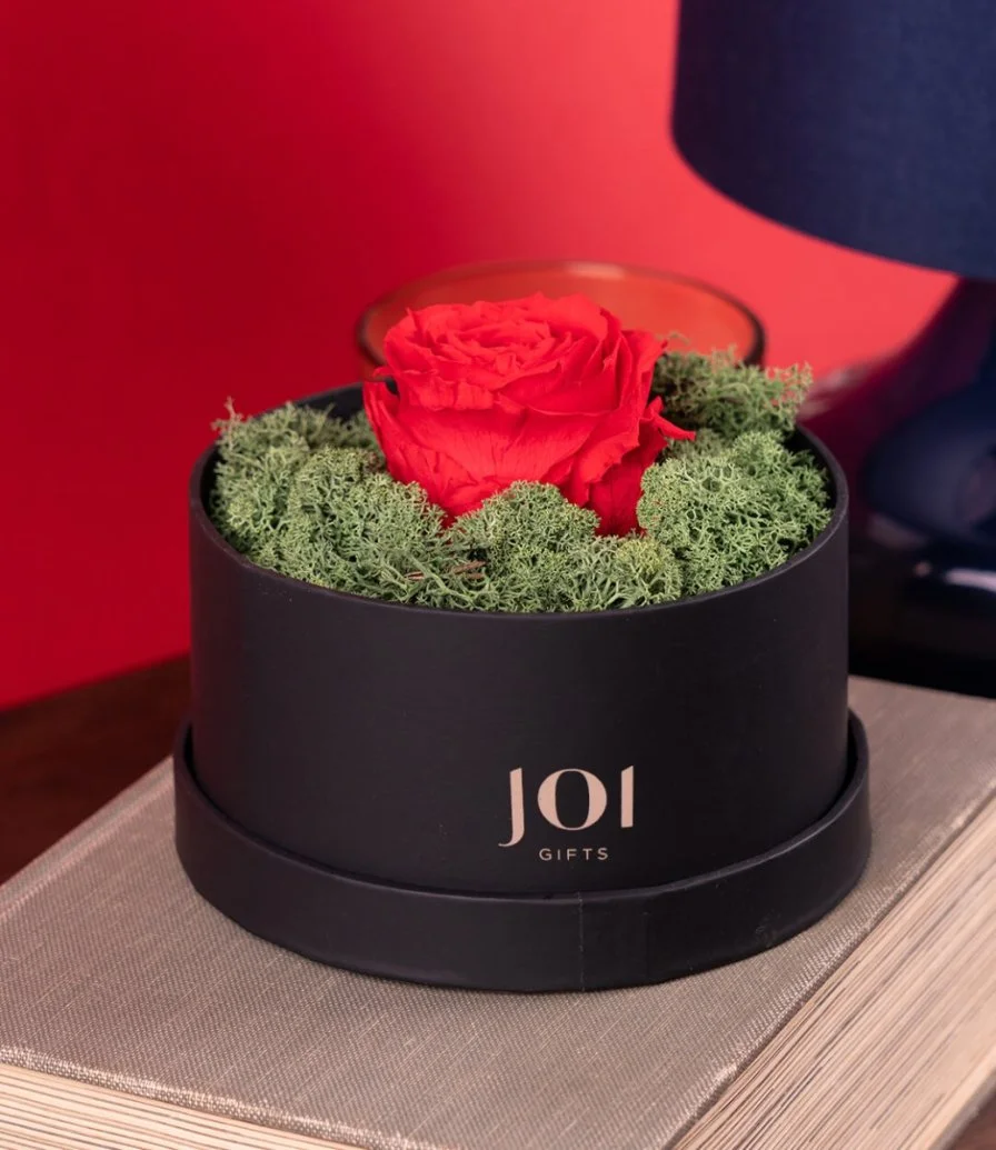 joi Luxury Long Life Rose Box - Red 
