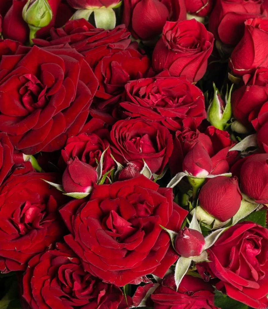 باقة حب الورد الأحمر