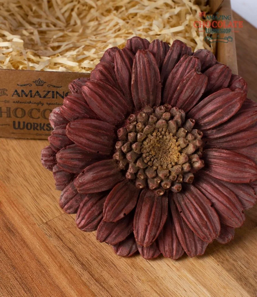 Large Gerbera Chocolate by The Amazing Chocolate Workshop