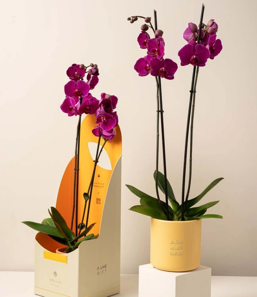 Laser Engraved Violet Orchid Gift by Ashjar