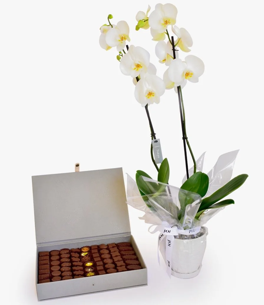 Leather Assorted Chocolate Box & Orchids Bundle by Victorian 