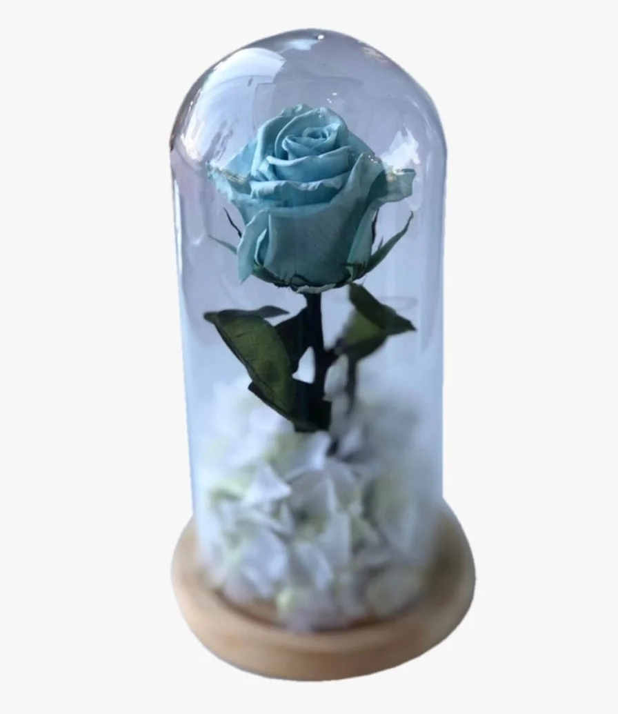 Light blue long lasting rose