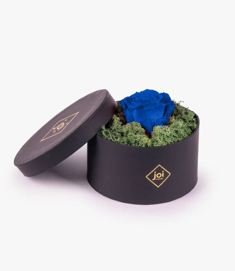 joi Luxury Long Life Rose Box - Blue