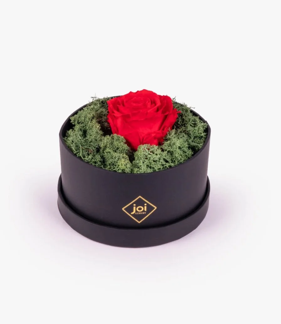 joi Luxury Long Life Rose Box - Red 