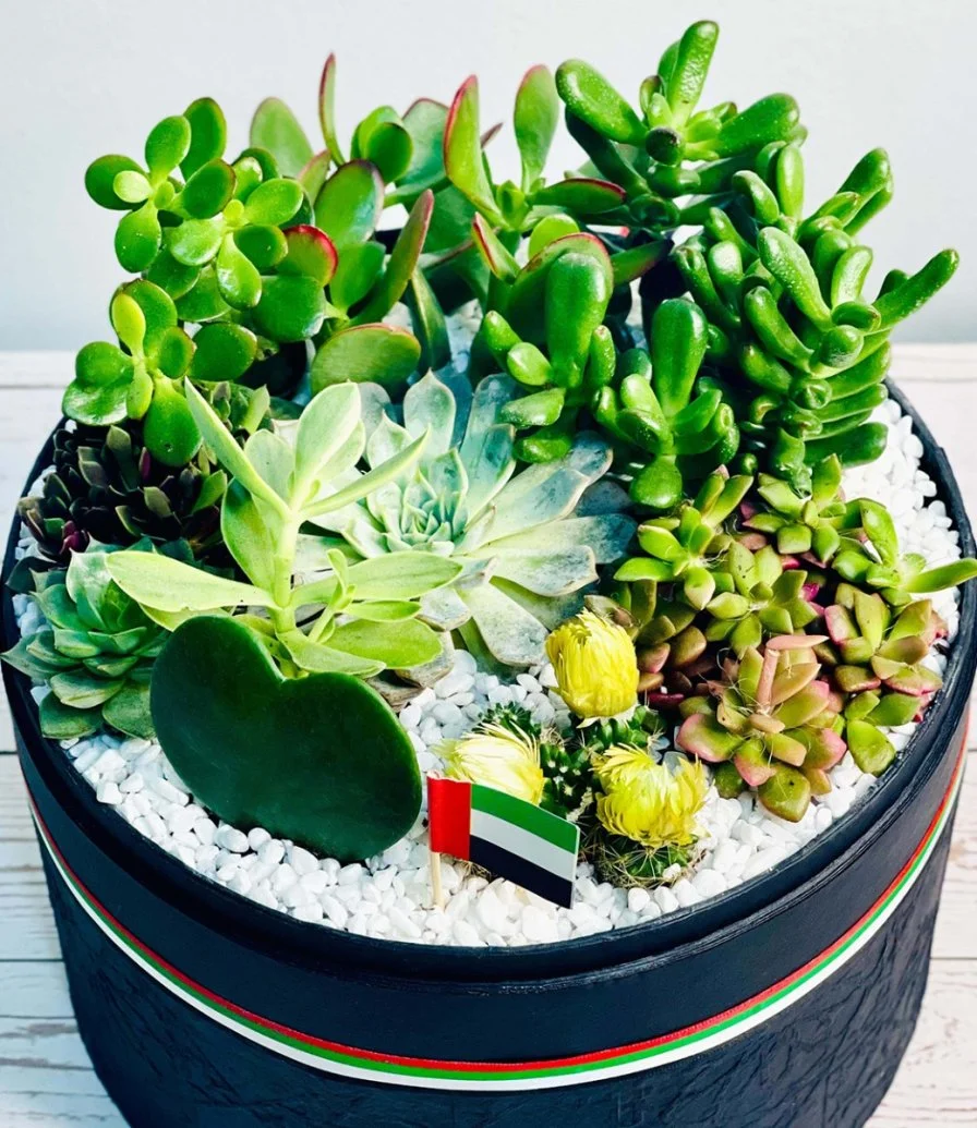 Lush Garden Box for UAE National Day by Wander Pot - Black