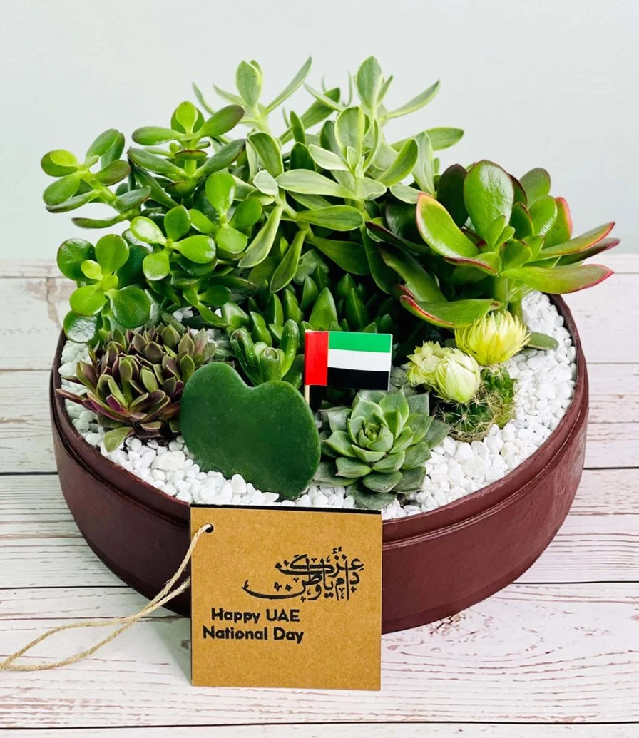 Lush Garden Box for UAE National Day by Wander Pot - Burgundy