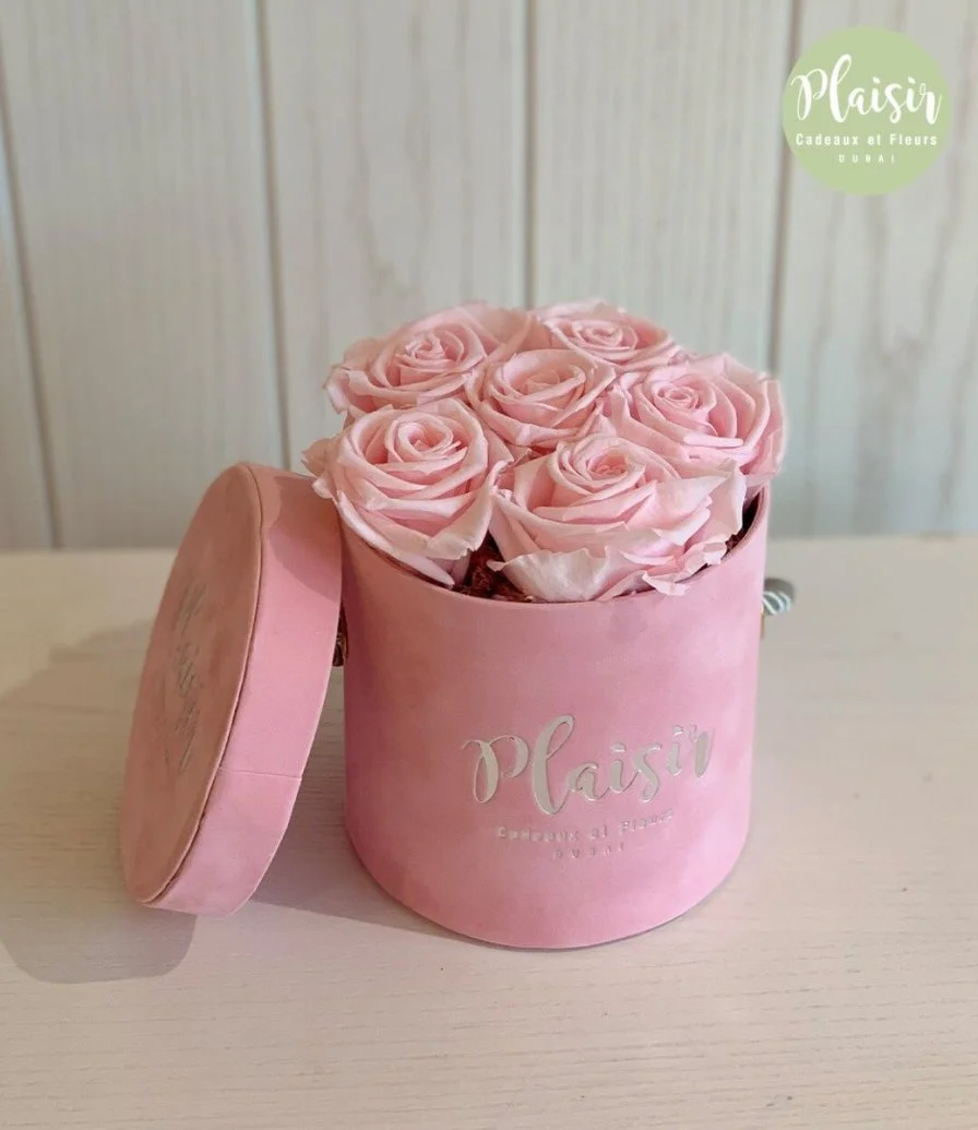 Luxury Long Life Roses In Pink Box By Plaisir