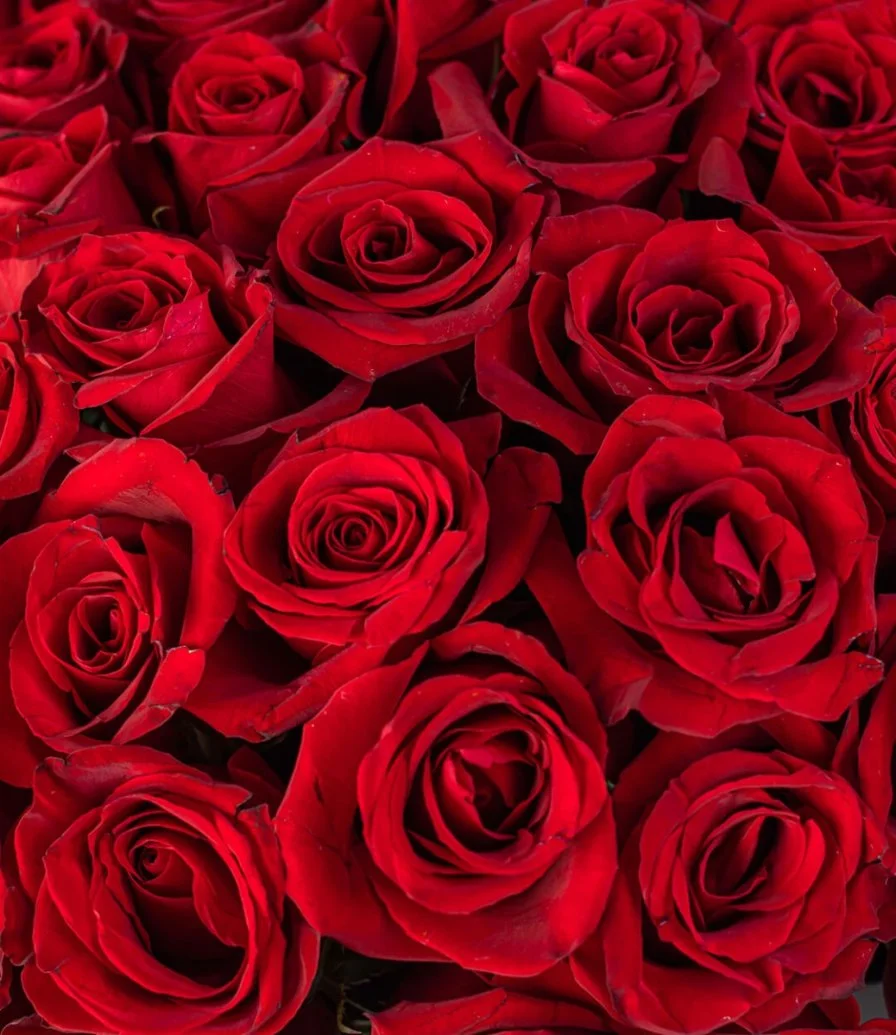 Luxury Square Red Rose Box