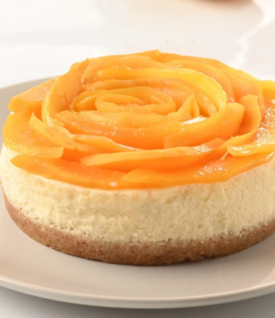 Mango Lunch Box Cheesecake by Flour Boutique