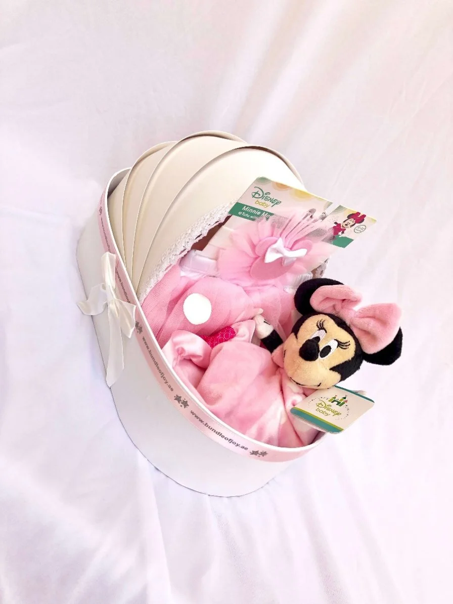 Assorted Disney Gift Basket