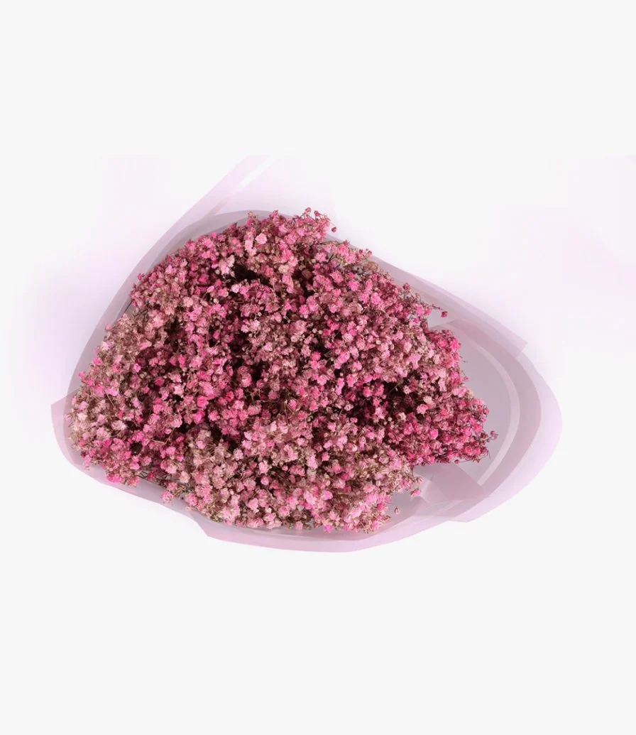 Pink Gypsophilia Hand Bouquet