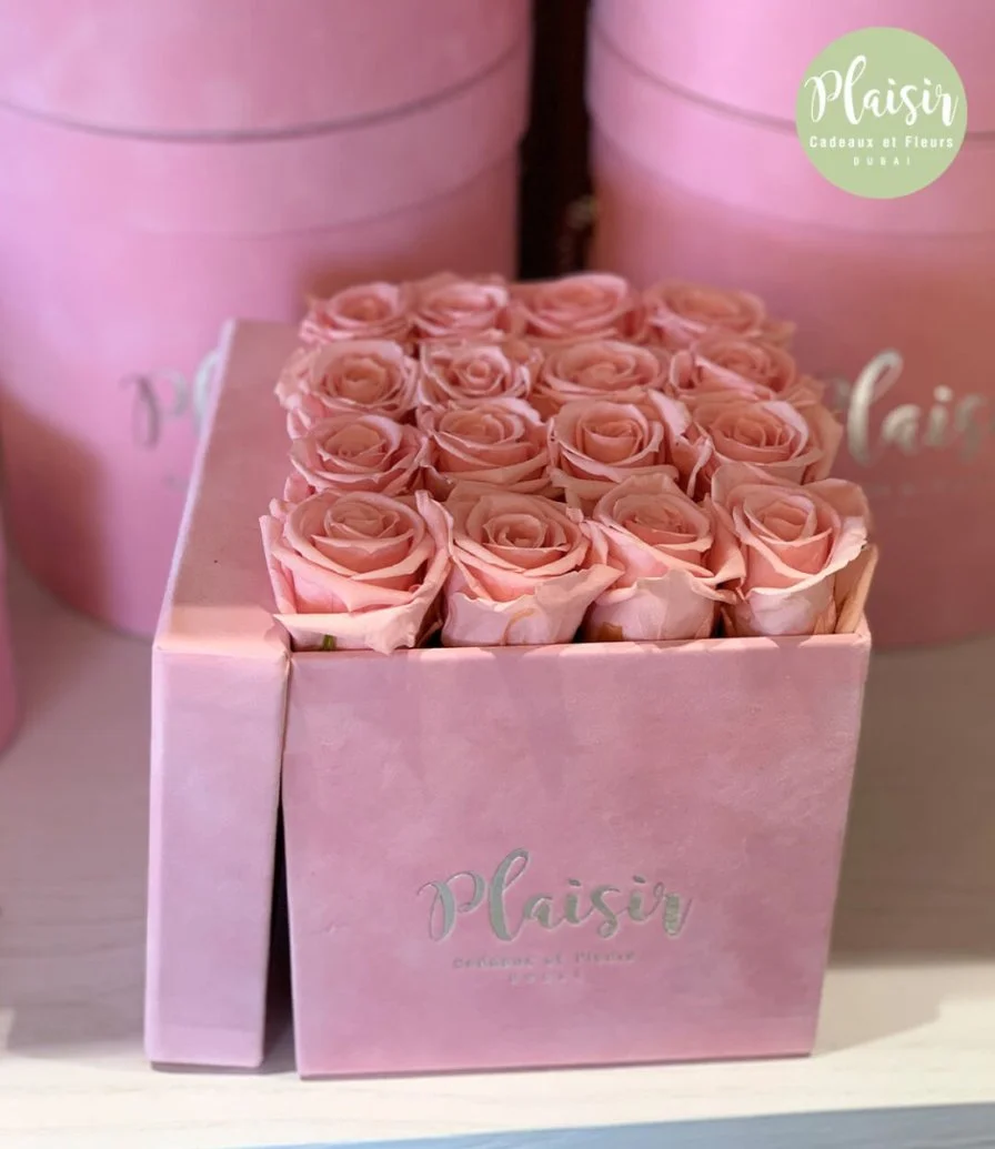 Pink Velvet Rose Box By Plaisir