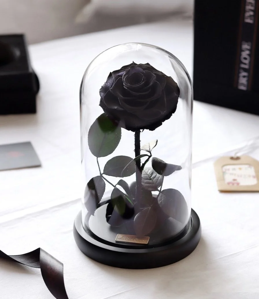 Preserved Black Rose in Glass Dome from iluba