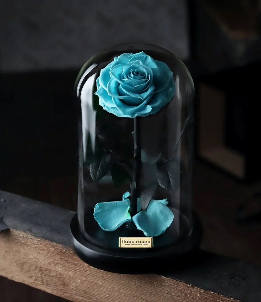 Preserved Blue Rose Glass Dome from iluba
