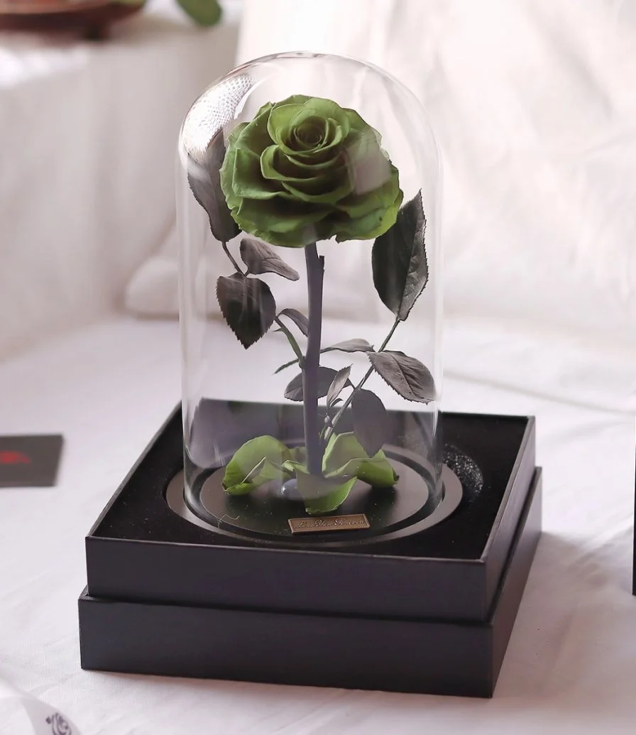 Preserved Green Rose in Glass Dome from iluba