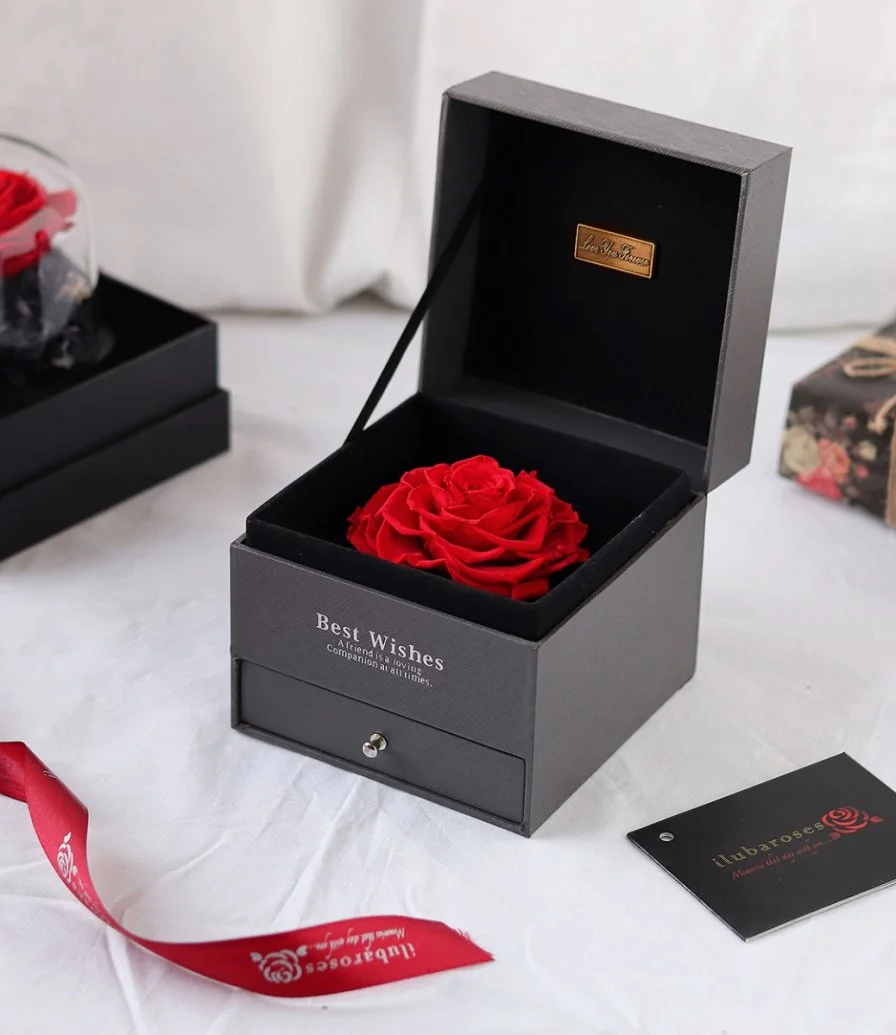 Preserved iluba Rose Gift Box
