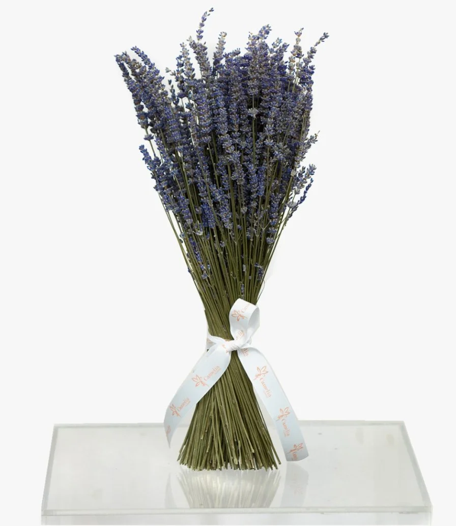 Preserved Lavender