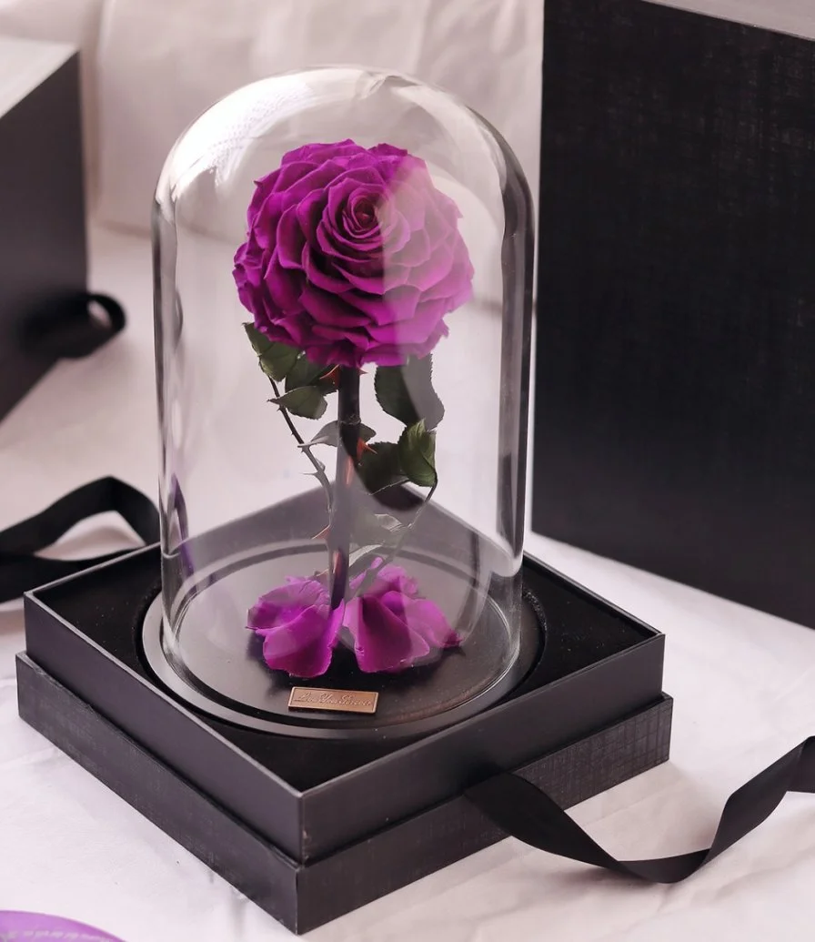 Preserved Purple Rose Glass Dome from iluba