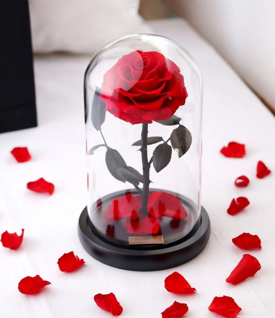 Preserved Red Rose in Glass Dome from iluba