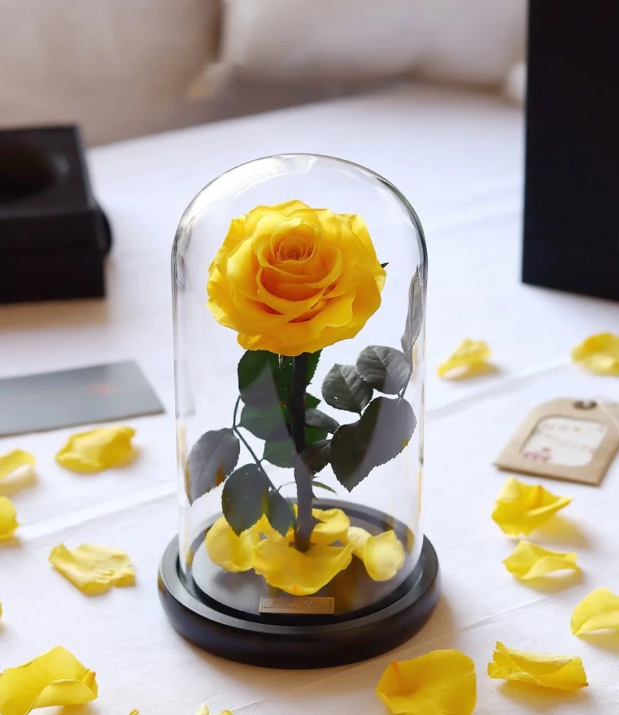 وردة صفراء داخل قبة زجاجية من إيلوبا