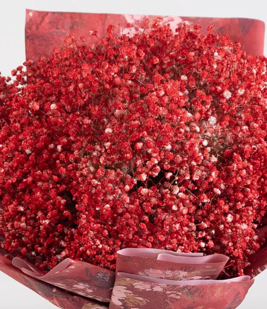 Red Gypsophila Hand Bouquet