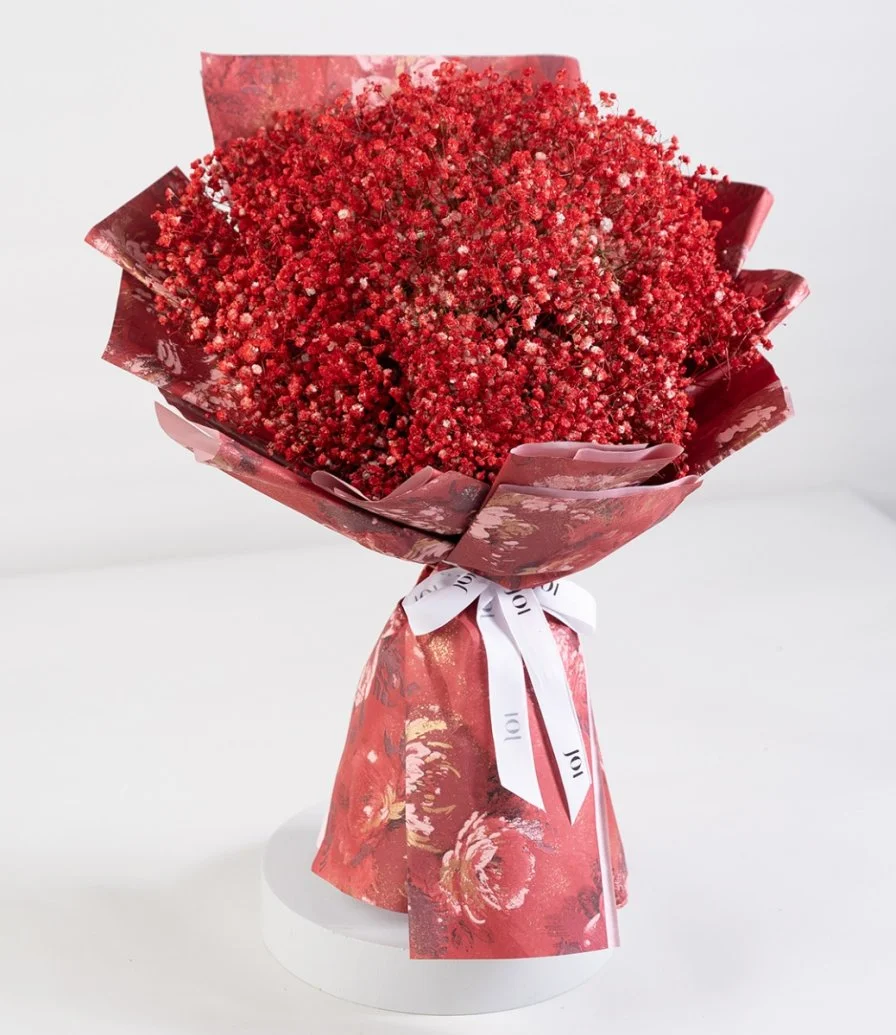 Red Gypsophilia Hand Bouquet & Brand Mix by Hanovarian Bundle