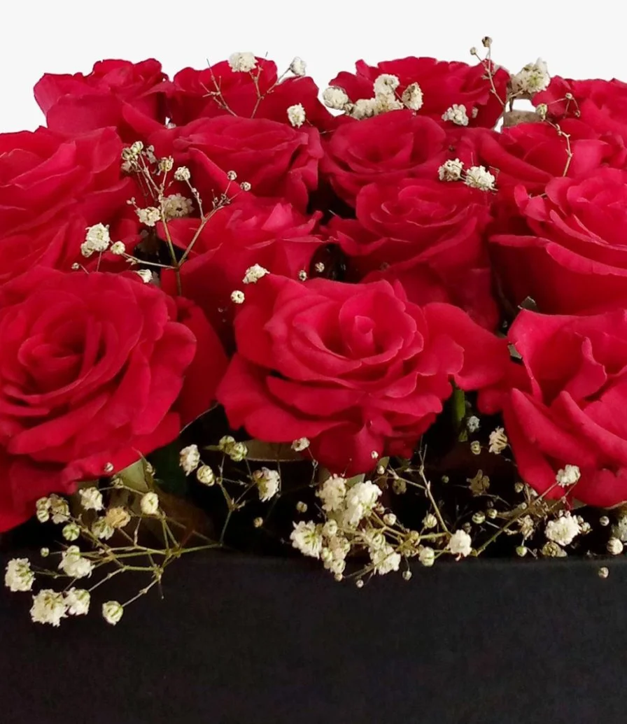 Red Roses in A Black Box