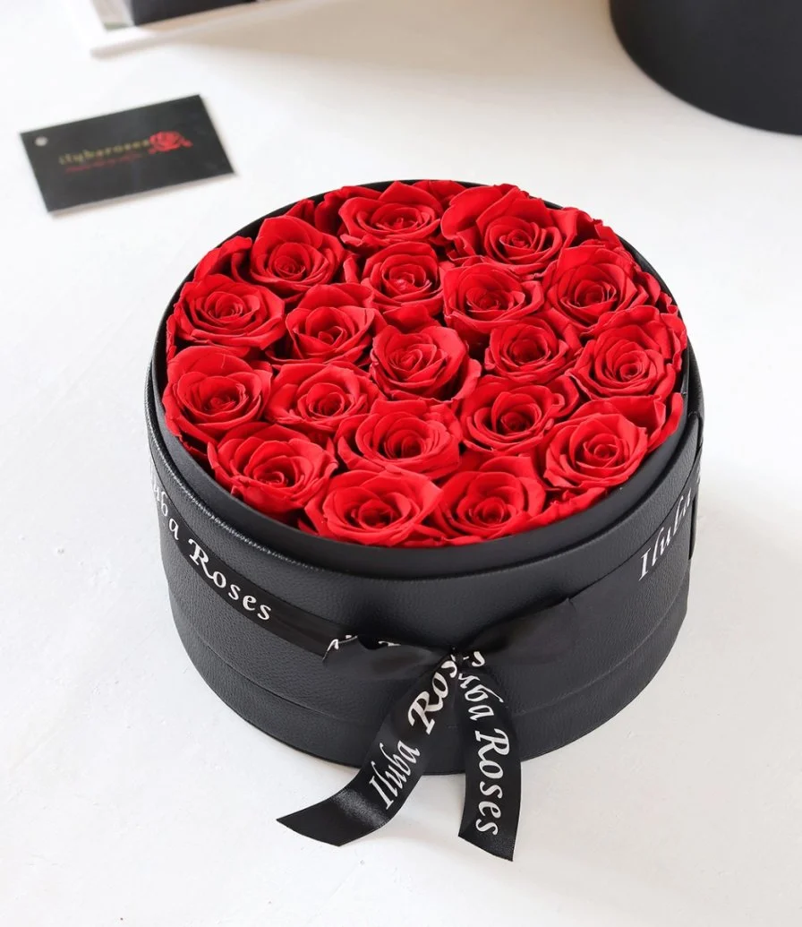 Round-Shaped Box of Preserved Red Roses by iluba