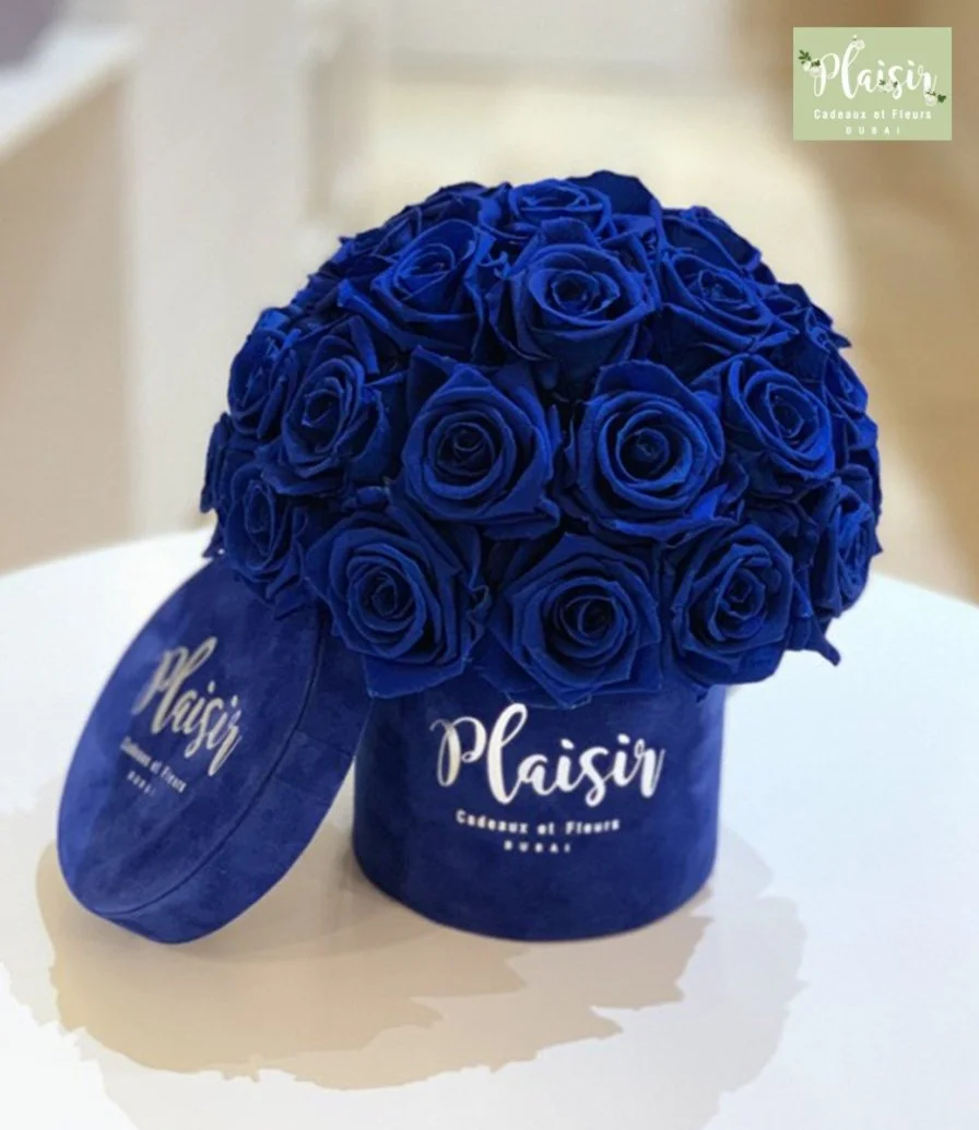 صندوق زهور دائري إنفينيتي أزرق ملكي من بليزير