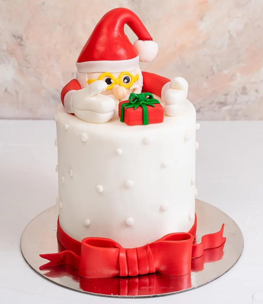 Santa Cake by NJD