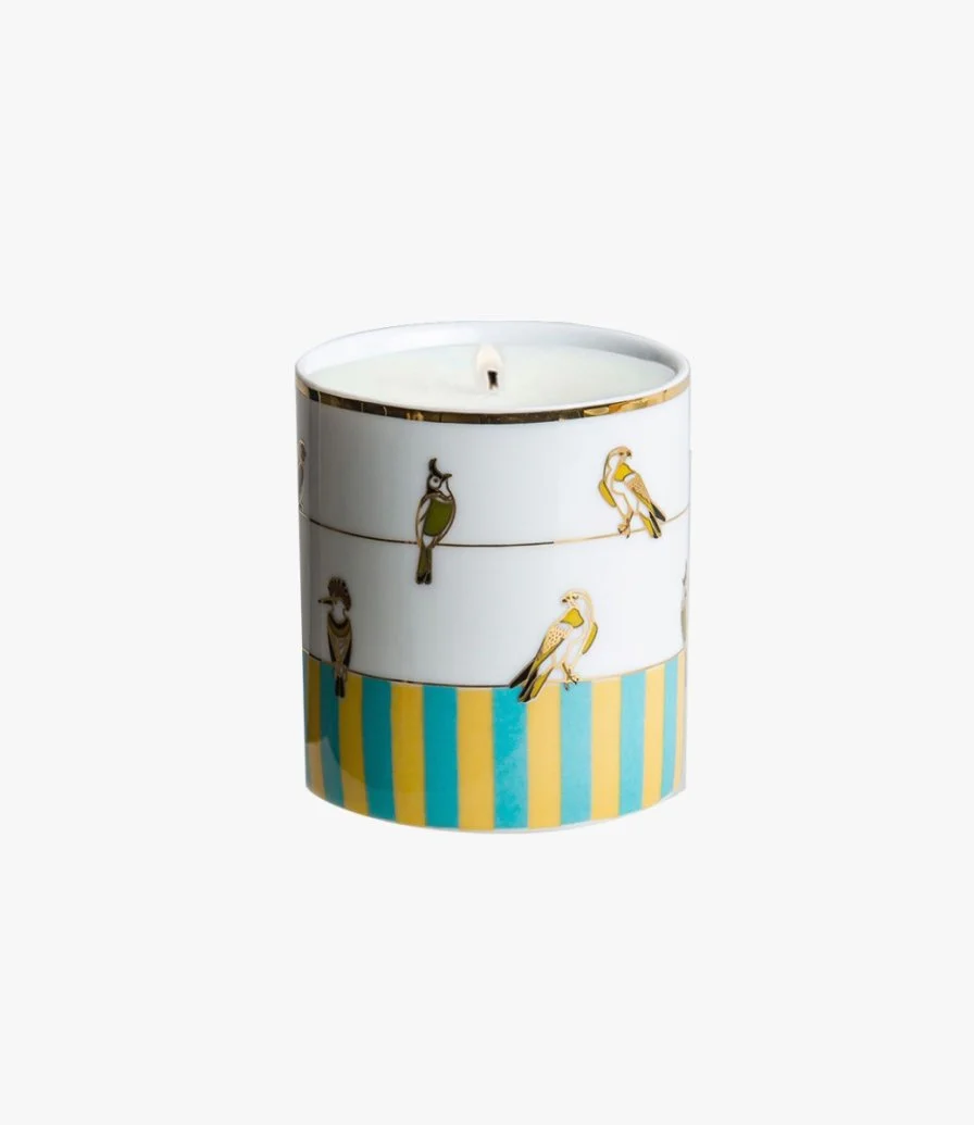 Sarb Naseem Candle - 150g By Silsal
