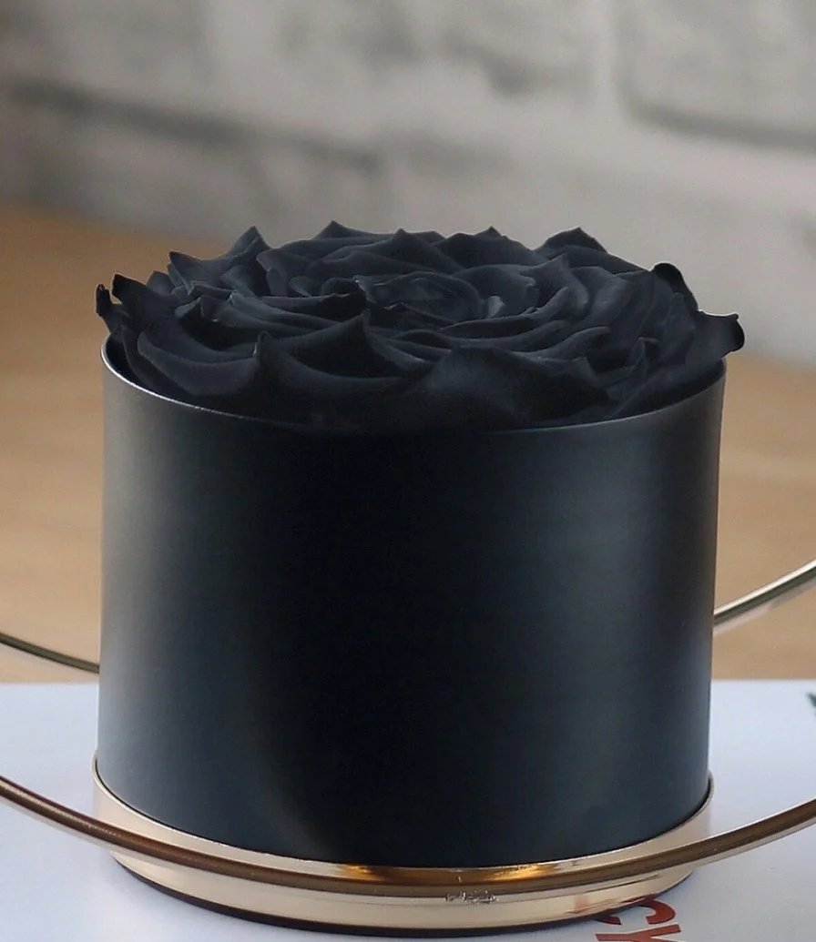 صندوق ذات وردة سوداء من إيلوبا