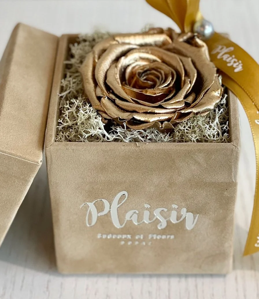 Single Infinity Gold Rose in Tan Box by Plaisir