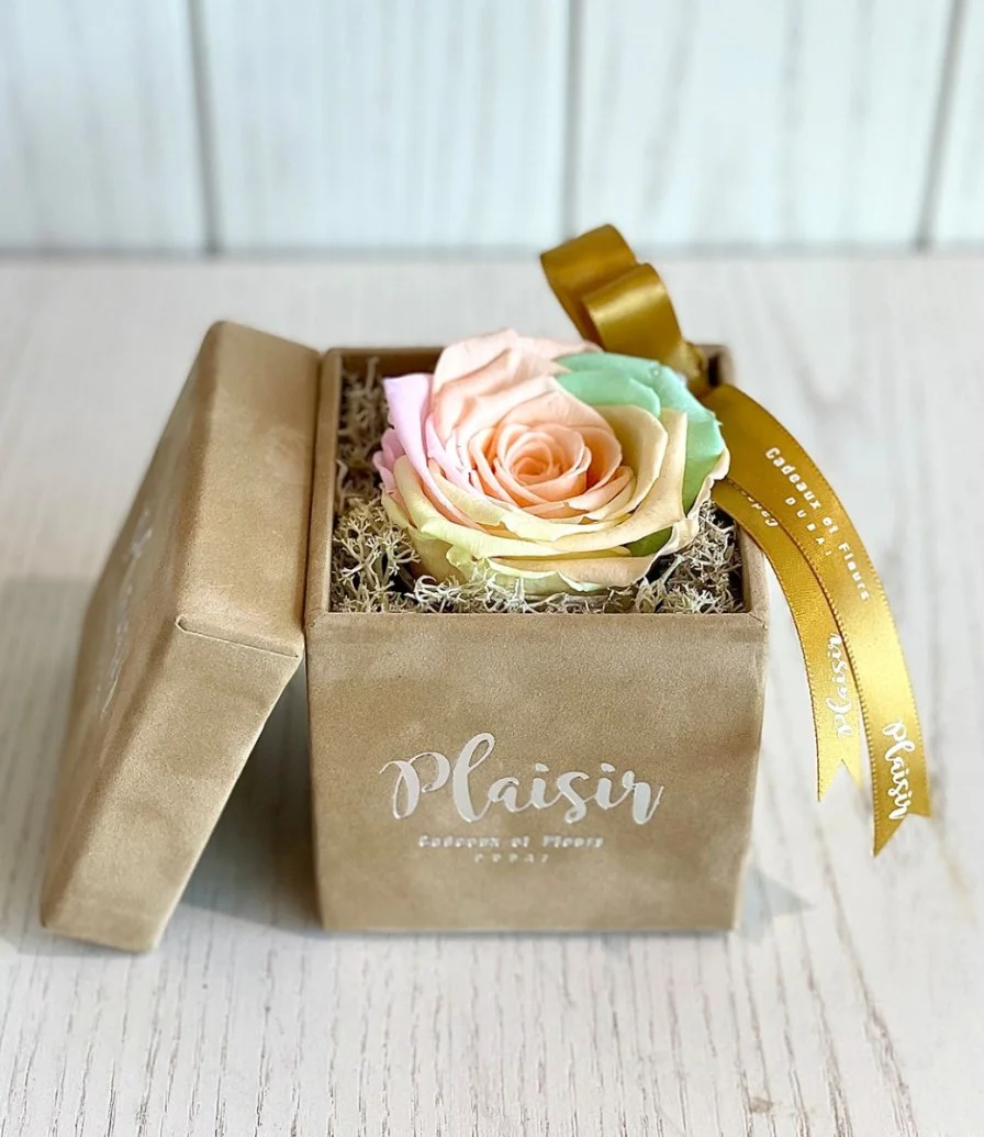 Single Infinity Multicoloured Rose in Tan Box by Plaisir