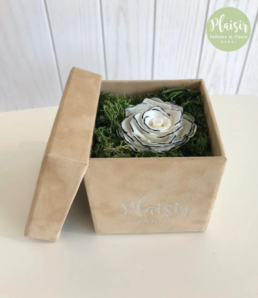 Single Infinity White Rose With Colored Edges Box By Plaisir
