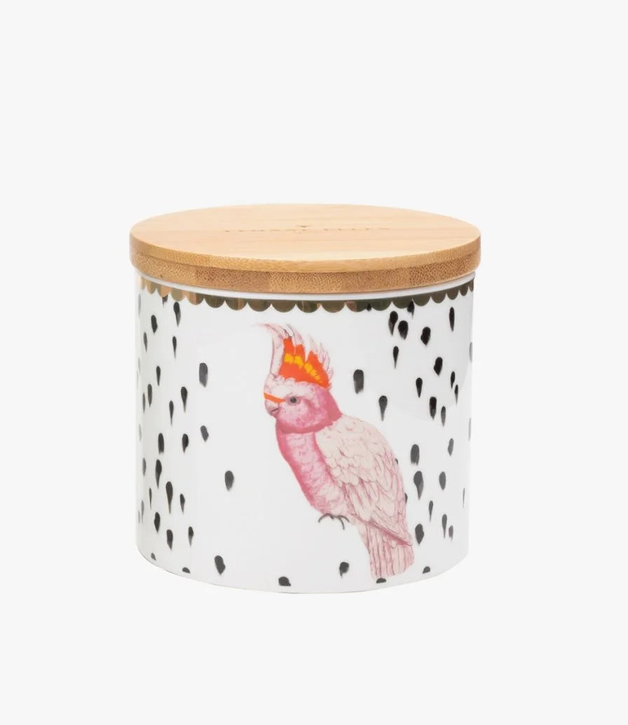 Small Storage Jar Bird Design By Yvonne Ellen