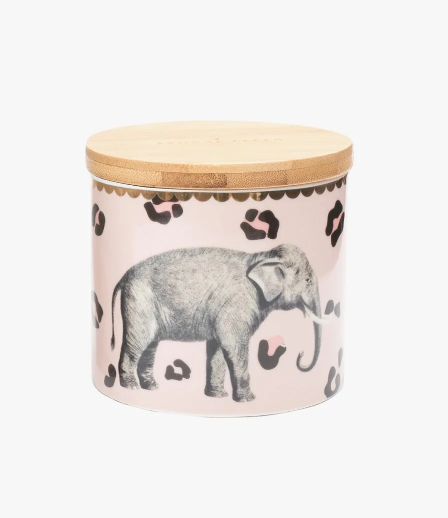 Small Storage Jar Elephant Design By Yvonne Ellen