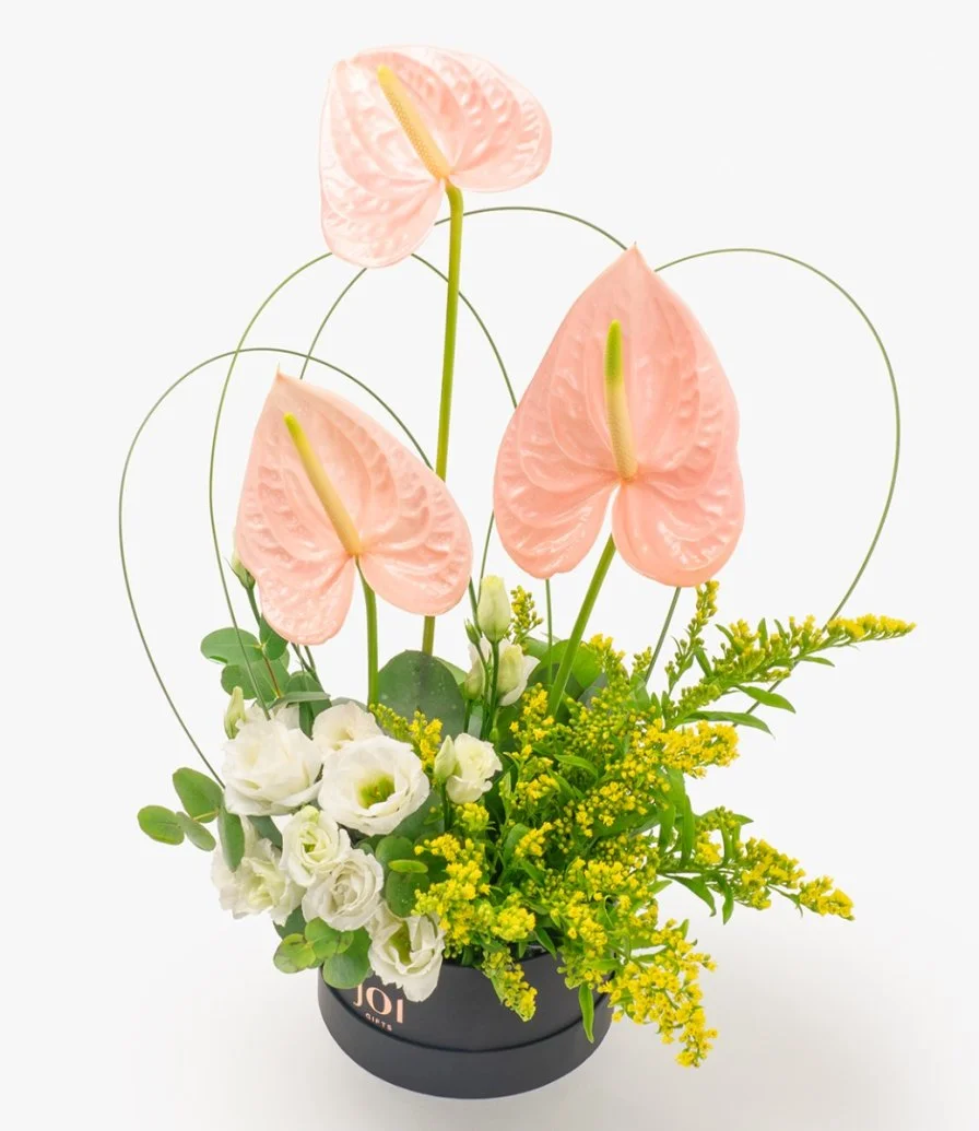 Soft Grandeur Luxury Flower Box