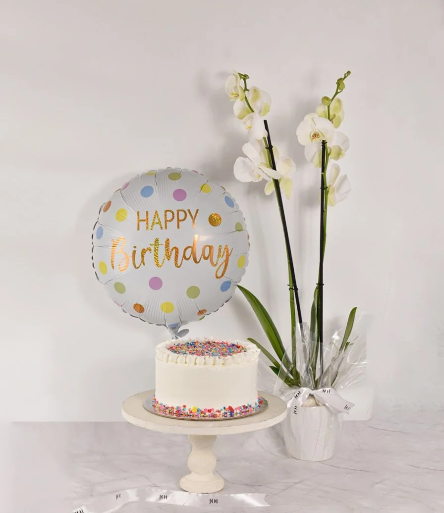 Sprinkles Cake Birthday Bundle By Secrets