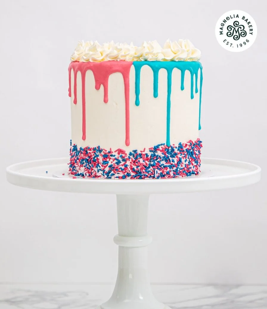Sprinkles Gender Reveal Cake by Magnolia